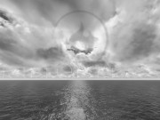 Two Juicy Milfs Suck one Huge Black Cock 1/16