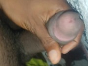 Me harías venir 14/16