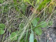 Can’t Hold My Pee, Piss on Roadside - Dane Coxx 6/16