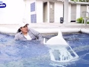 My boss helps me out of the pool and convinces me to fuck him! Laluceroficial 1/16