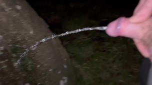Night piss on a tree