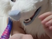 CON EXCLUSIVE Bad Dragon Dildo 2/16