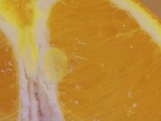 It is all about orange details 16/16