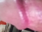 CABEÇÃO VERMELHO LATEJANDO QUER CHUPAR 2/16