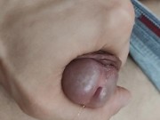 A penis a bit exited.. looking for an hole 10/16