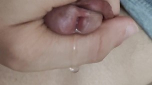 A penis a bit exited.. looking for an hole