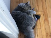 new testing july 4/16