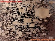 face sitting freaks 6/16