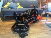 Latex puppies alone T2, In heat - Alex Latex