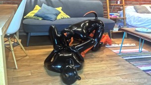 Latex puppies alone T2, In heat - Alex Latex