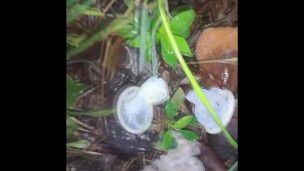 I found used condoms in forest and jerk off in them