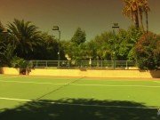 From a catfight to a freaky and hot anal orgy 6/16