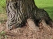 Courtney Sins - Blonde Milf Getting Naked in Public 3/16