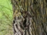 Courtney Sins - Blonde Milf Getting Naked in Public 6/16