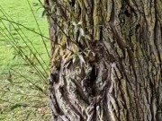 Courtney Sins - Blonde Milf Getting Naked in Public 8/16