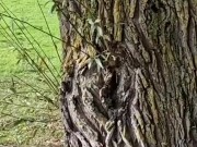 Courtney Sins - Blonde Milf Getting Naked in Public 9/16