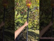 Blowjob in the Orchard 13/16