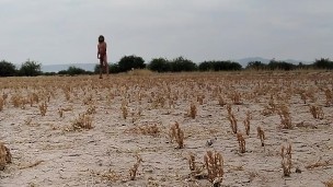 Dulce travesti caliente con minifalda,sosten y tacones rojos camina sexy en publico