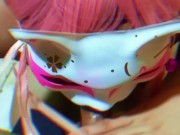 MATAMIS NA TAMOD PARA SA UMAGAHAN 4/16