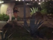 This stranger fucked me like never before, I was shocked ! 8/16