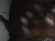 I love playing with my hot pussy 2/16