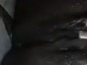 I love playing with my hot pussy 9/16