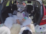 Fluffy, but well stuffed 1/16