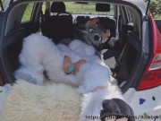 Fluffy, but well stuffed 5/16