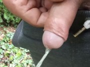 I peed outdoors while working. A lot of piss came out of my dick 5/16