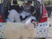 Fluffy car with fun 14/16