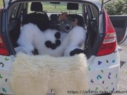 Fluffy car with fun 15/16