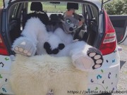 Fluffy car with fun 7/16