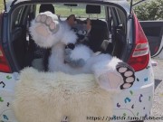 Fluffy car with fun 8/16