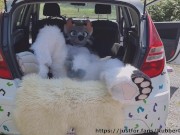 Fluffy car with fun 9/16