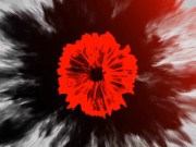 Fart Smelling JOI (JERK OFF INSTRUCTIONS - ASMR - CUM CONTROL -  FARTING - FACE FARTING ) 1/16