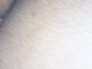 Enrabando o marido 13/16