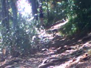 Foundfootage - Outdoor masturbation 6/16