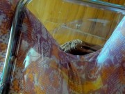 レギンス姿の日本人女性の黄色いおしっこ。