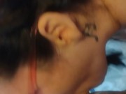 Naughty Kitten 11/16