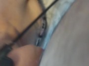 Naughty Kitten 16/16