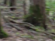 OUTDOOR SEX I went for a stroll in the grove when I took my COCK in hand to have some fun and CUM 16/16