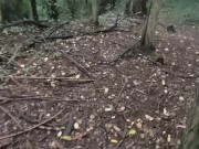 OUTDOOR SEX I went for a stroll in the grove when I took my COCK in hand to have some fun and CUM 2/16