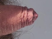 Close up peeing in the kitchen 11/16