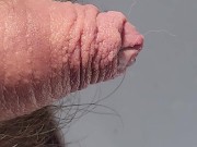 Close up peeing in the kitchen 12/16