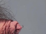 Close up peeing in the kitchen 15/16