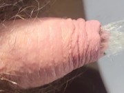 Close up peeing in the kitchen 5/16