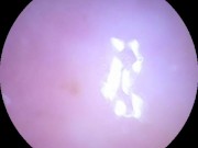 Camera dildo after a rough fuck and cream filling 5/16