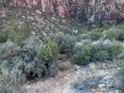 Baddie Latina Sucks BBC At Red Rock Mountain Las Vegas 7/16