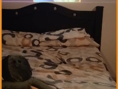 I record from my cell phone and he records me, they interrupt us but we continue, nothing