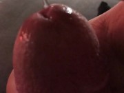 Precum Play 12/16